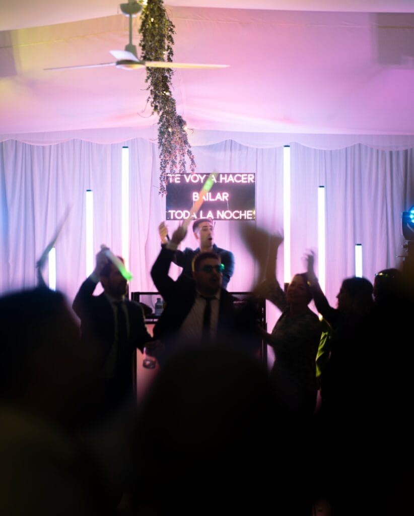 DJ de bodas en La Rioja animando durante la fiesta